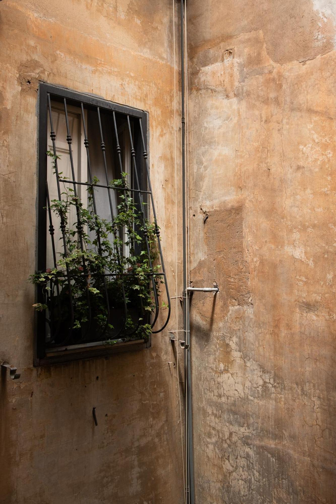 Colosseum View Accomodation Ρώμη Εξωτερικό φωτογραφία